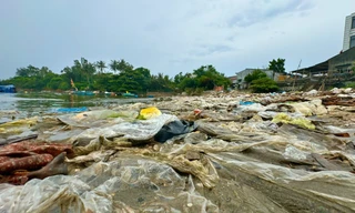 Rác ngập ngụa tại 'điểm đen' bờ biển Quảng Ngãi