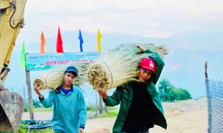 Người dân xứ Quảng kiếm bộn tiền nhờ hái 'lộc rừng'