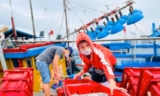 Một đêm ra khơi ngư dân Quảng Ngãi sắm được... 1 chỉ vàng