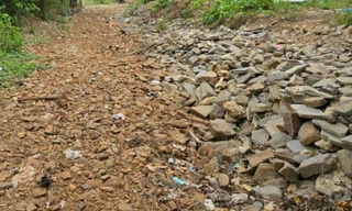 Khe suối khô cạn, hàng trăm hộ dân Đà Nẵng thiếu nước sinh hoạt 