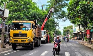 Quảng Ngãi rà soát, cung cấp thông tin, tài liệu các dự án trồng, chăm sóc cây xanh theo yêu cầu Bộ Công an