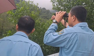 Cận cảnh tìm kiếm, cứu hộ máy bay quân sự rơi ở Bình Định