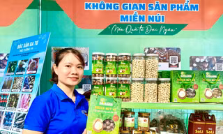 Thanh niên miền núi Quảng Ngãi đổi đời nhờ khởi nghiệp
