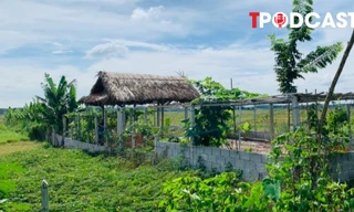 Các khoản phí phải nộp khi chuyển đổi đất vườn lên đất thổ cư năm 2025 người dân cần biết 