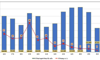 Biểu đồ kết quả xét nghiệm PCR đại diện hộ gia đình theo từng ngày lấy mẫu ở Đà Nẵng từ ngày 16/8. 