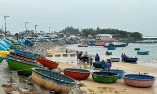 Cụ bà tử vong sau khi xuống biển múc nước ướp cá