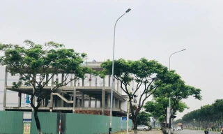 Bỏ tiền tỷ mua shophouse, 7 năm thành nhà hoang 