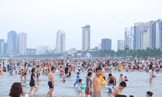 Đà Nẵng nỗ lực xây dựng thành phố môi trường