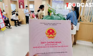 Các trường hợp nào được miễn thuế thu nhập khi giao dịch bất động sản ?