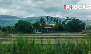 Đất 50 năm hết hạn sử dụng có bị thu hồi ?