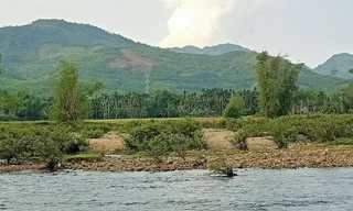 Suối Nước Lác (xã Sơn Kỳ, huyện Sơn Hà), nơi xảy ra vụ việc.