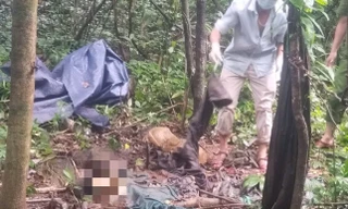 Phát hiện bộ hài cốt người trong rừng sâu Quảng Ngãi