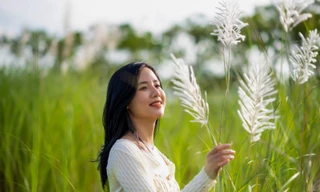 Cánh đồng lau trắng đẹp mê mẩn thu hút giới trẻ Đà Nẵng