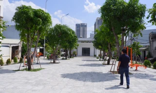 Giữ đất, trồng cây cho thế hệ sau 