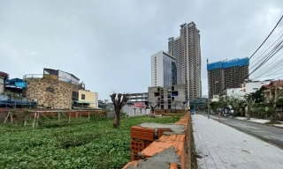 Hiện trạng khu vực 5 lô đất biệt thự từng được nữ đại gia báo mất. 