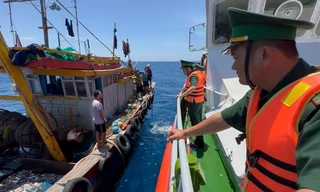 Tạm giữ 2 tàu khai thác tận diệt hải sản ở vùng biển Quảng Ngãi