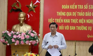 Quảng Ngãi: 11 tổ chức đảng và 78 đảng viên có khuyết điểm, vi phạm