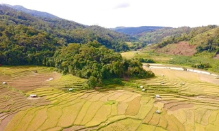 Thích thú đứng giữa Kon Tum mà như ruộng bậc thang Tây Bắc