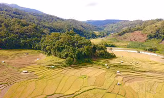 Thích thú đứng giữa Kon Tum mà như ruộng bậc thang Tây Bắc