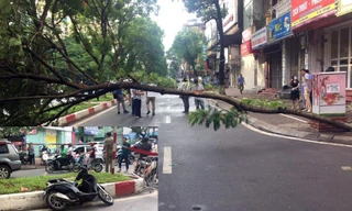 Hiện trường vụ việc.