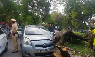 Hiện trường vụ việc.