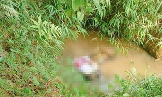 Hiện trường vụ việc.