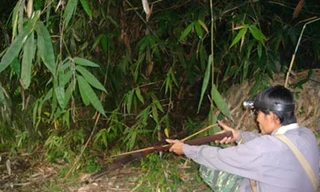 Hè độc của teen: Đi săn chuột đá