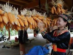 Vào bản “ngủ thăm” cùng sơn nữ