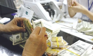 Ủy ban Giám sát Tài chính Quốc gia đang đệ trình Chính phủ Đề án chiến lược chống đô la hóa