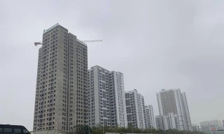 Nhiều doanh nghiệp đề nghị xem xét giảm hoặc gia hạn tiền thuê đất