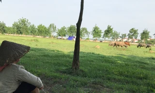 Tình trạng các dự án đô thị bỏ hoang đất gây lãng phí nhiều năm gây nhức nhối dư luận (Trong ảnh là một dự án bất động sản tại Mê Linh, Hà Nội) Ảnh: Minh Tuấn