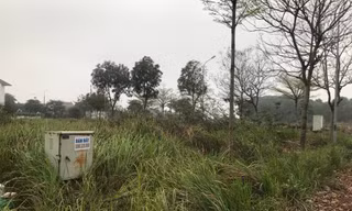 hàng chục ha đất khu đô thị Hà Phong thuộc xã Tiền Phong, huyện Mê Linh, Hà Nội bỏ hoang cả chục năm
