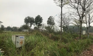 hàng chục ha đất khu đô thị Hà Phong thuộc xã Tiền Phong, huyện Mê Linh, Hà Nội bỏ hoang cả chục năm