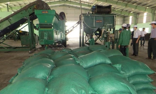 Dấn thân 'làm' ...rác