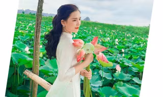 Sen Ninh Bình mang vẻ đẹp khó cưỡng