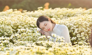 Cựu nữ sinh Đại học Gia Định ra Hà Nội chụp ảnh cùng Cúc Họa Mi