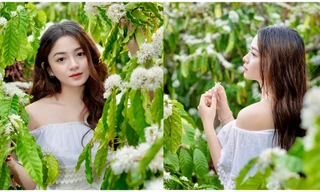 Vẻ đẹp trong veo của nàng mẫu Đăk Lăk trong rừng cà phê mùa hoa nở