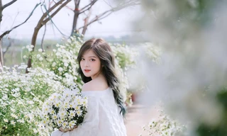 Nàng mẫu ảnh sinh năm 2000 khoe nhan sắc trong trẻo giữa vườn cúc họa mi