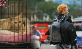 Giới trẻ ‘đau đầu’ chuyện gửi thú cưng ngày Tết