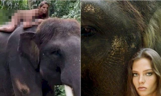 Nữ mẫu Nga bị “ném đá” vì chụp ảnh khỏa thân với loài voi khổng lồ có nguy cơ tuyệt chủng