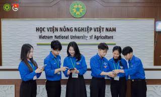 Sinh viên Học viện Nông nghiệp tham gia Cuộc thi 'Lịch sử Đảng bộ, lịch sử tỉnh Thái Bình'