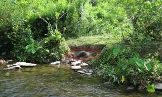 Vụ cụ bà 69 tuổi tử vong bên bờ suối: Bắt giữ một nghi phạm 