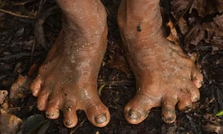 Bộ tộc có bàn chân 6 ngón, sống biệt lập với thế giới