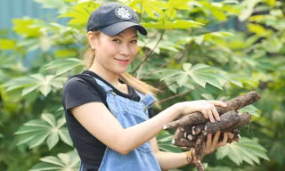 Chỉ vì một tấm hình, Mỹ Tâm phải lên tiếng trước nghi vấn mang bầu