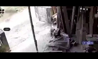 Kinh hoàng chó dữ tấn công bé trai 2 tuổi ở Tuyên Quang