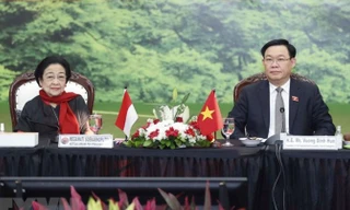 Việt Nam và Indonesia cần tăng cường hơn nữa quan hệ hợp tác