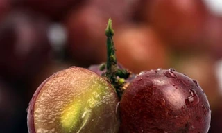 Hợp chất diệt tế bào ung thư