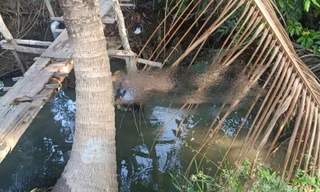 Phát hiện người đàn ông tử vong bất thường ở Long An