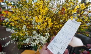 Người dân TPHCM chi tiền triệu cho những chậu hoa nhập khẩu