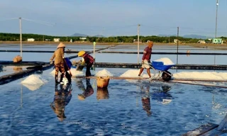 Diêm dân Cần Giờ bất ngờ trúng mùa muối 